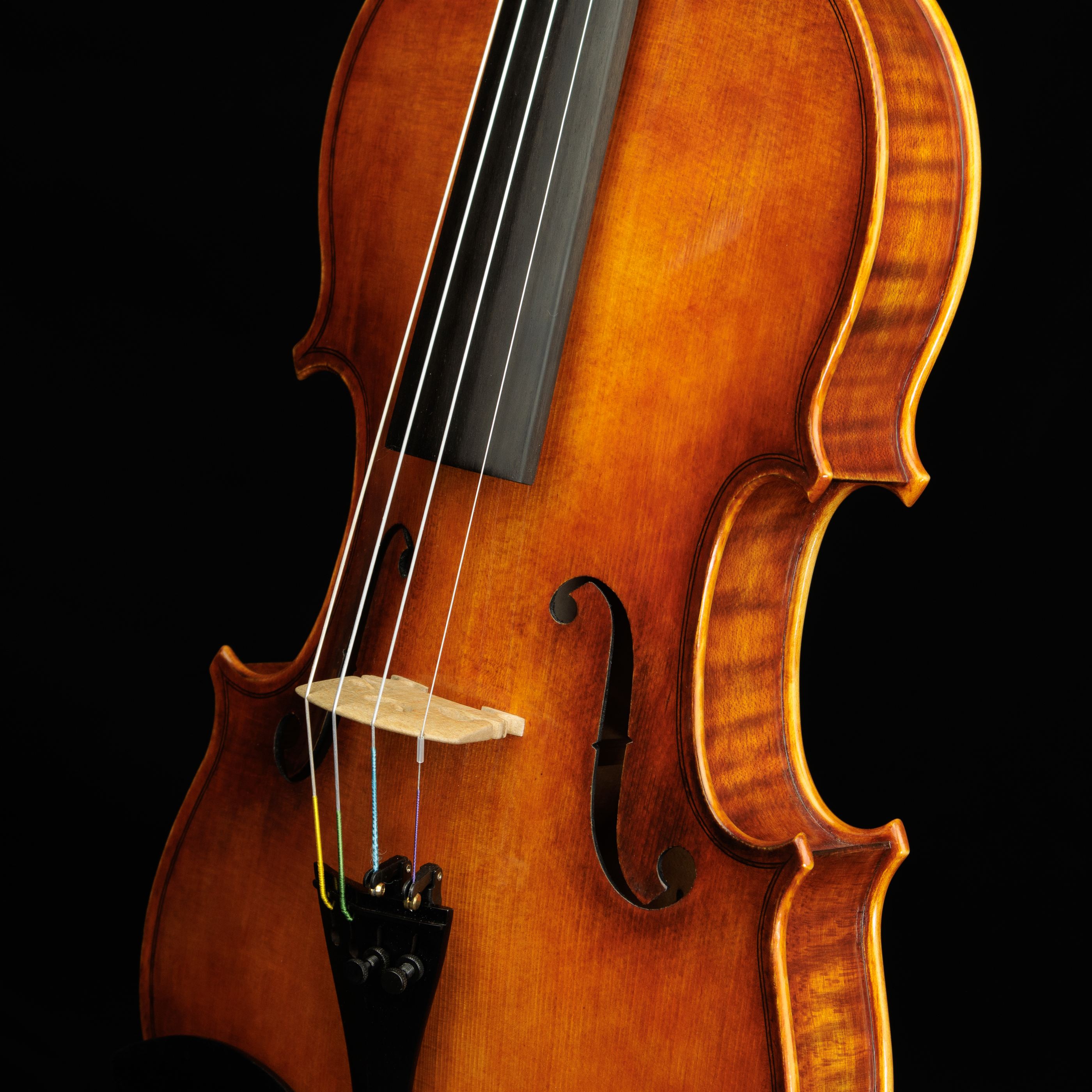Violino